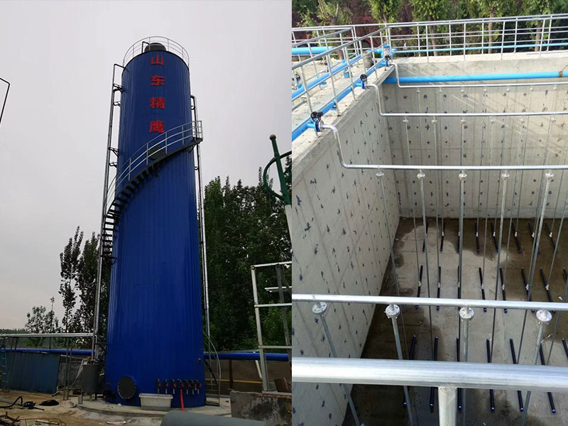 濟(jì)寧海域生物